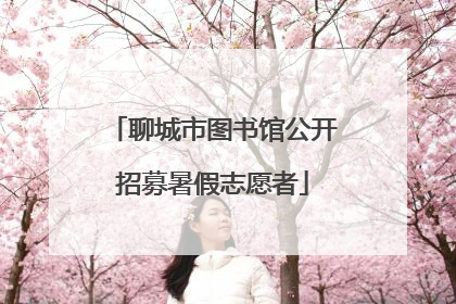 聊城市图书馆公开招募暑假志愿者