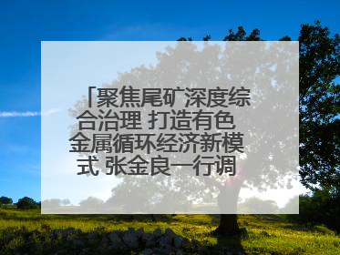 聚焦尾矿深度综合治理 打造有色金属循环经济新模式 张金良一行调研栾川县尾矿库综合治理工作
