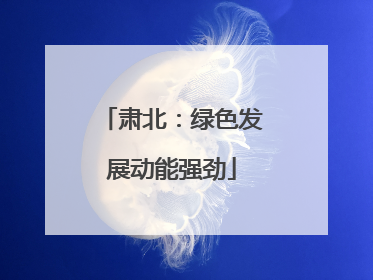 肃北：绿色发展动能强劲