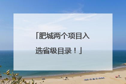 肥城两个项目入选省级目录！