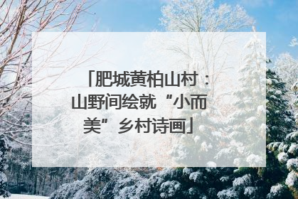 肥城黄柏山村：山野间绘就“小而美”乡村诗画