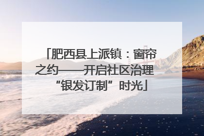 肥西县上派镇：窗帘之约——开启社区治理“银发订制”时光