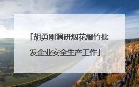 胡勇刚调研烟花爆竹批发企业安全生产工作