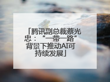 腾讯副总裁蔡光忠：“一带一路”背景下推动AI可持续发展