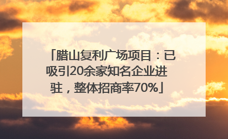 腊山复利广场项目：已吸引20余家知名企业进驻，整体招商率70%