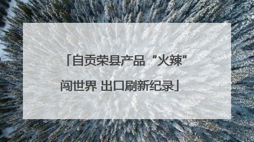 自贡荣县产品“火辣”闯世界 出口刷新纪录