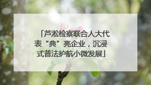 芦淞检察联合人大代表“典”亮企业，沉浸式普法护航小微发展