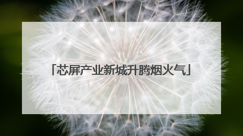 芯屏产业新城升腾烟火气