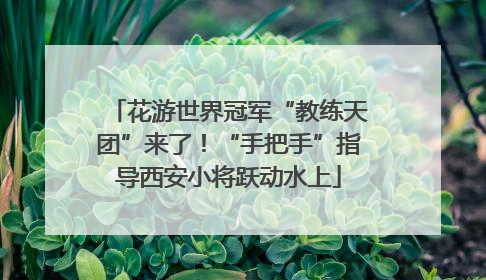 花游世界冠军“教练天团”来了！“手把手”指导西安小将跃动水上