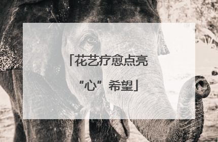 花艺疗愈点亮“心”希望