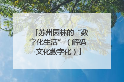 苏州园林的“数字化生活”（解码·文化数字化）