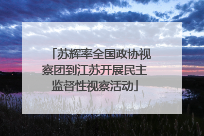 苏辉率全国政协视察团到江苏开展民主监督性视察活动
