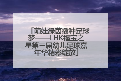 萌娃绿茵播种足球梦——LHK福宝之星第三届幼儿足球嘉年华精彩绽放