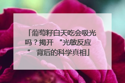 葡萄籽白天吃会吸光吗？揭开 “光敏反应” 背后的科学真相