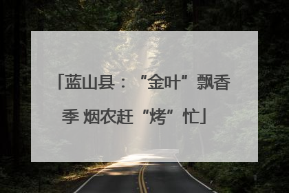 蓝山县：“金叶”飘香季 烟农赶“烤”忙