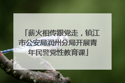 薪火相传跟党走，镇江市公安局润州分局开展青年民警党性教育课