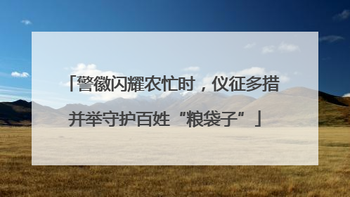 警徽闪耀农忙时，仪征多措并举守护百姓“粮袋子”