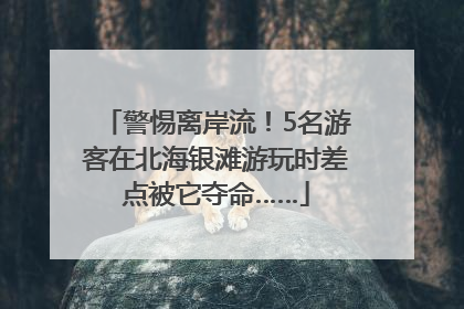 警惕离岸流！5名游客在北海银滩游玩时差点被它夺命……