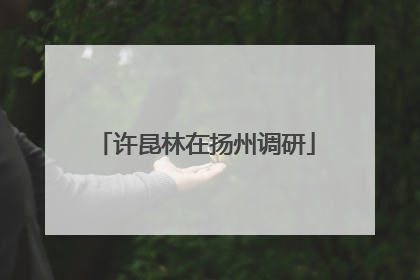 许昆林在扬州调研