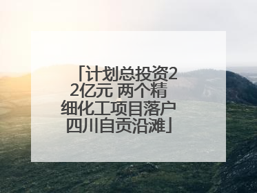 计划总投资22亿元 两个精细化工项目落户四川自贡沿滩