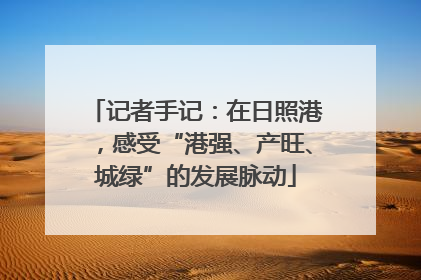 记者手记：在日照港，感受“港强、产旺、城绿”的发展脉动