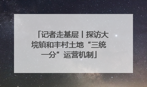 记者走基层丨探访大垸镇和丰村土地“三统一分”运营机制