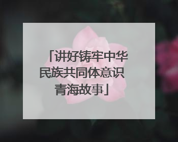 讲好铸牢中华民族共同体意识青海故事