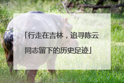行走在吉林，追寻陈云同志留下的历史足迹