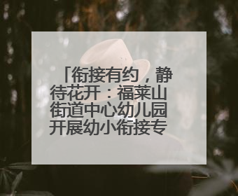 衔接有约，静待花开：福莱山街道中心幼儿园开展幼小衔接专题讲座