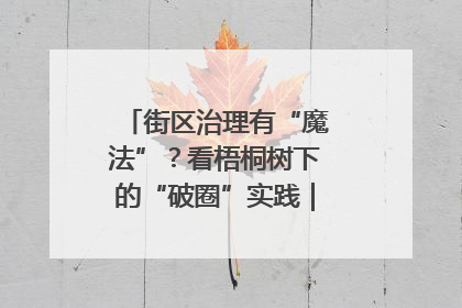 街区治理有“魔法”？看梧桐树下的“破圈”实践｜我在街区当书记