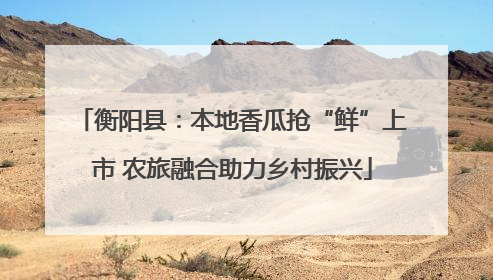 衡阳县：本地香瓜抢“鲜”上市 农旅融合助力乡村振兴