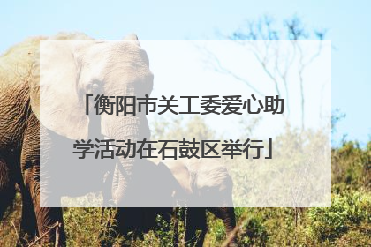 衡阳市关工委爱心助学活动在石鼓区举行