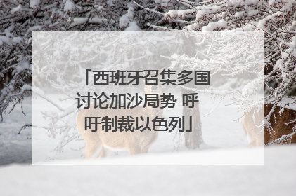 西班牙召集多国讨论加沙局势 呼吁制裁以色列