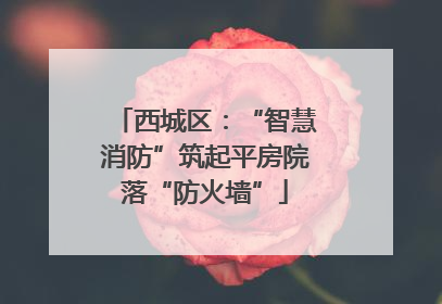 西城区：“智慧消防”筑起平房院落“防火墙”