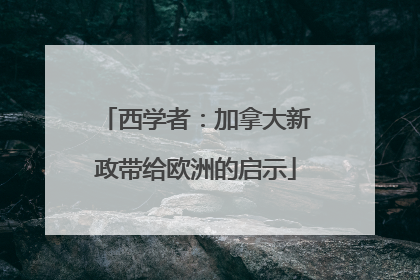 西学者：加拿大新政带给欧洲的启示