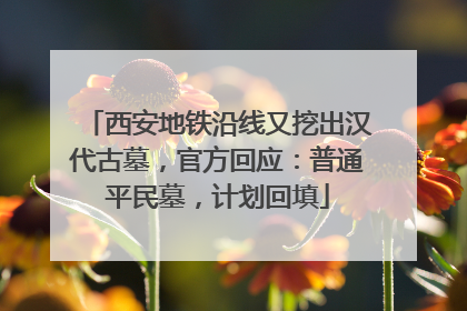 西安地铁沿线又挖出汉代古墓，官方回应：普通平民墓，计划回填
