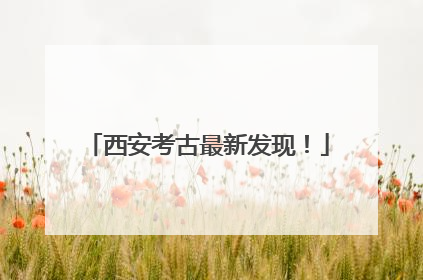 西安考古最新发现！