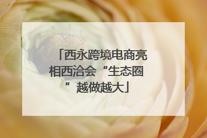 西永跨境电商亮相西洽会“生态圈”越做越大