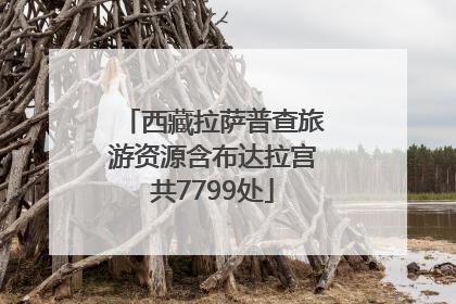 西藏拉萨普查旅游资源含布达拉宫共7799处