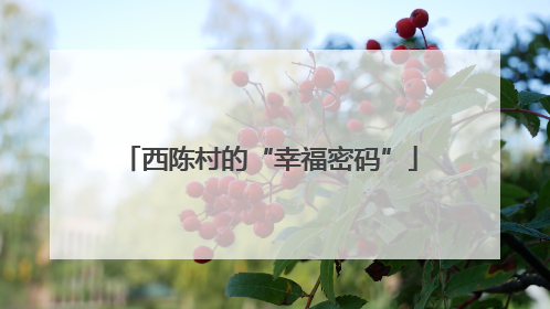 西陈村的“幸福密码”