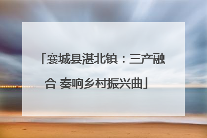 襄城县湛北镇：三产融合 奏响乡村振兴曲