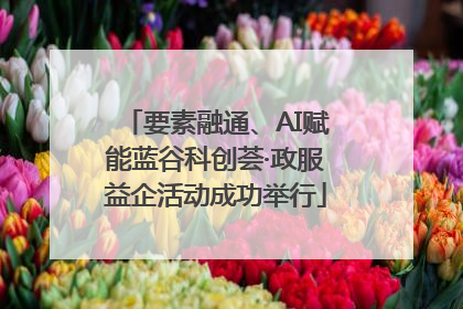 要素融通、AI赋能蓝谷科创荟·政服益企活动成功举行
