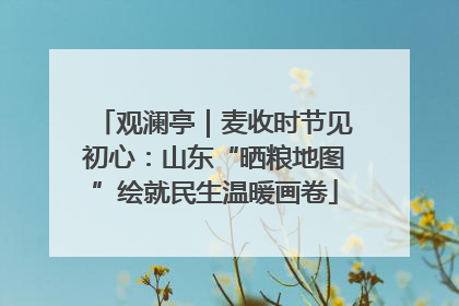 观澜亭｜麦收时节见初心：山东“晒粮地图”绘就民生温暖画卷