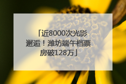 近8000次光影邂逅！潍坊端午档票房破128万