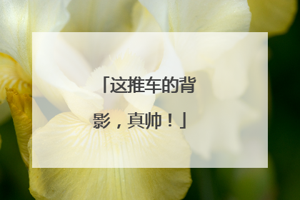 这推车的背影，真帅！