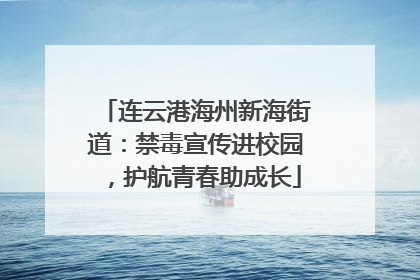 连云港海州新海街道：禁毒宣传进校园，护航青春助成长