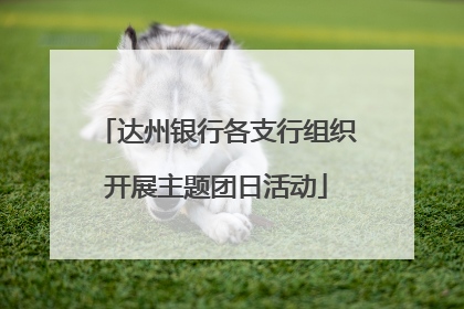 达州银行各支行组织开展主题团日活动