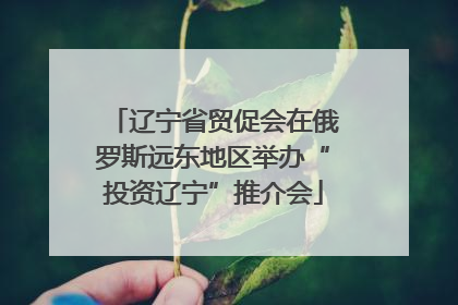 辽宁省贸促会在俄罗斯远东地区举办“投资辽宁”推介会
