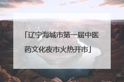 辽宁海城市第一届中医药文化夜市火热开市