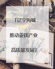 辽宁海城：推动菱镁产业高质量发展